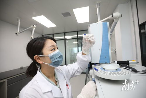 金灣生物醫藥產業研究院試運營 開啟全鏈條新藥研發服務新篇章