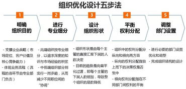 管理升級(jí)落地咨詢服務(wù) 組織設(shè)計(jì)與權(quán)責(zé)體系的系統(tǒng)構(gòu)建與實(shí)務(wù)推進(jìn)